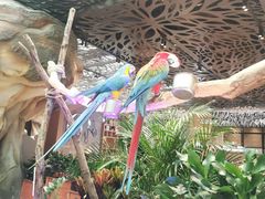 -杭州开元森泊度假乐园