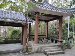 -水濂山森林公园