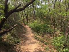 -云峰山自然风景区