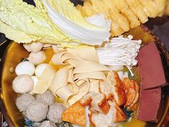 -Darling Queen·Mini·Live·House