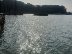 -东钱湖小普陀景区