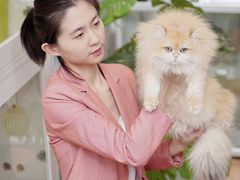 -青奢宠物·青奢猫舍