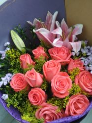 点击看大图 -淮安市妇幼保健院