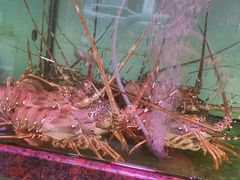 -裕兴酒家·34年老字号