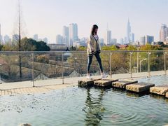 -行者书屋大堂吧 ·下午茶(南京圣和府邸酒店)