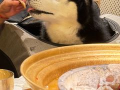 -瑞虹新天地月亮湾