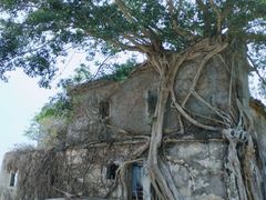 -东平洲海岸公园