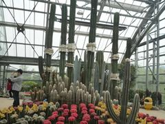 -南山植物园