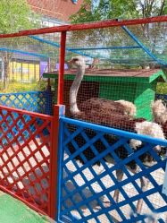 -萌宠亲子动物乐园(槐房万达店)