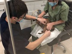 -萌兽医馆·眼科·异宠专科(三里屯店)