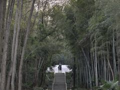 -青龙山国家森林公园