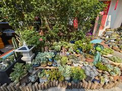 -杨厝六十六农庄农舍(杨厝路店)