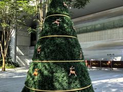 -深圳湾万象城(南山店)