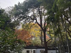 -杭州黄龙洞
