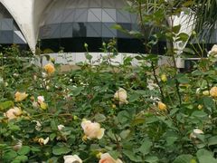 -人民公园(罗湖区)