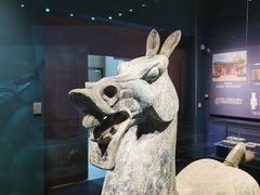 -广西壮族自治区博物馆