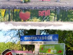 -长白岛森林公园