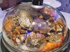 -半岛听涛蒸汽海鲜自助(K11店)