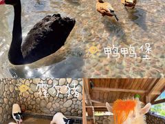 -珠海海泉湾神秘岛亲子乐园