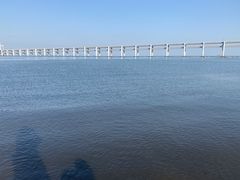 -星海湾跨海大桥