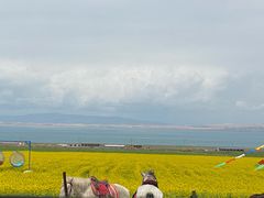 -青海湖国家重点风景名胜区