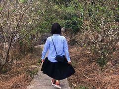 -广州市流溪河国家森林公园