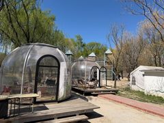 -圣露庄园·露营·烤肉·亲子