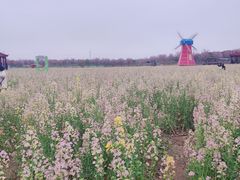 -武汉紫薇都市田园