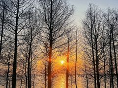 -滆湖低碳生态公园