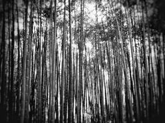 -穹窿山景区