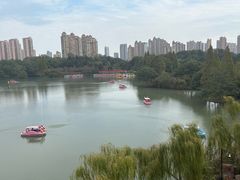 -青枫公园