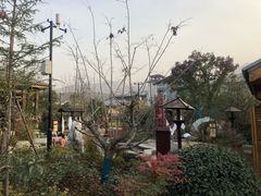 -太白山御龙湾温泉