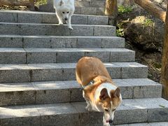 -白水寺森林公园