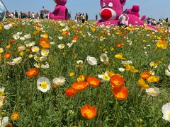 -歌斐颂巧克力小镇