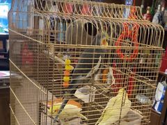 -潇湘·永州会馆(百子湾店)