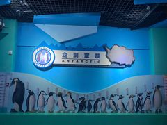 -海合安武汉极地海洋公园