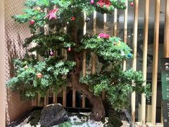 -松临·铁板烧&Omakase(神农店)