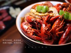 -猫头婴小酒馆FUN OWL(1912店)