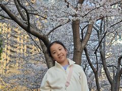 -西北湖绿化广场