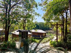 -罗浮山嘉宝田森林温泉度假酒店