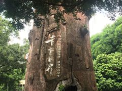 -青青世界