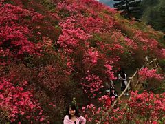 -木兰云雾山