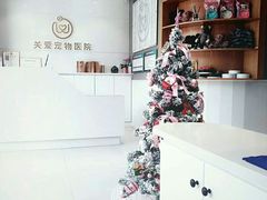 -关爱宠物医院·猫科中心·消化科(滨湖万达分院)