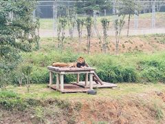 -石家庄市动物园