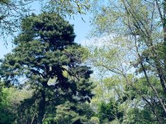 -北陵公园