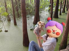 -云龙湖旅游景区