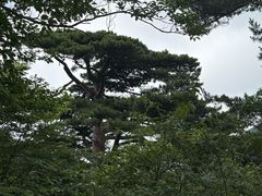 -狼山风景名胜区