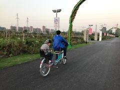 -菊园百果园