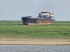 -鄱阳湖国家湿地公园