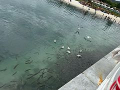 -青海湖二郎剑景区